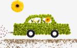 A car made of flowers